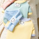 귀여워 강아지 이미지