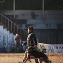 김동권 독 트레이닝센터 이미지