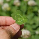 중산체육관 이미지