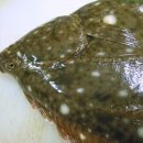 막내회센타 이미지