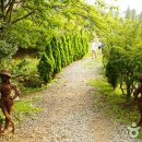 팜카밀레 이미지