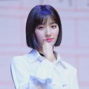 새롬 이미지