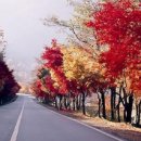 2002무도장 이미지