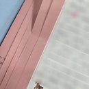 사실 저는.. 백현이 프로텍터입니다.