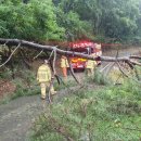 금호1리경로당 이미지