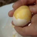 노른자 이미지