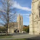 (주)연안약품 이미지