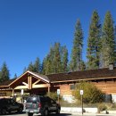 배그로브(BAE GROVE) | 미국 서부 여행 요세미티 국립공원 Day 1: 마리포사 그로브 &amp; 태프트 포인트 석양 (겨울 날씨)