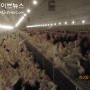 재성농장 이미지