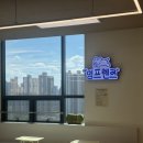 멍프렌즈 | 하남 애견카페 멍프렌즈│미끄럼 예방 매트 시설 완벽 구비된 실내 애견운동장!