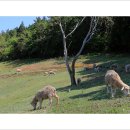 생각나무자연학교 이미지