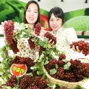 신답농장 이미지