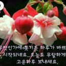 하루 연가 이미지