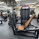 타이거 휘트니스 이미지