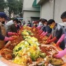와부농협조안지점 | 이웃에게 온정을 전하는 사랑의 김장 나누기 행사 실시