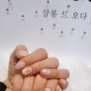 살롱드오다 티스토리