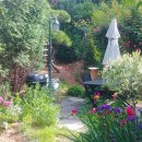 비밀의 정원 이미지