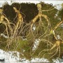 친절민박 이미지