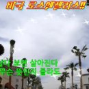 엔젤리스