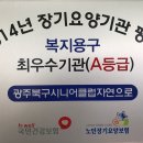 광주북구시니어클럽 자연으로 이미지