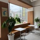 달려라카센타 | [청주 산남동 카페 · 반려동물 동반 가능 카페] 나이스업 커피 재방문후기