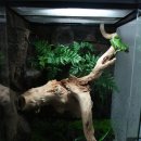 아이트리 이미지