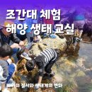 동삼어촌계 유어장 낚시터 | 부산 조간대 체험 어촌에서 만나는 해양생태 교실