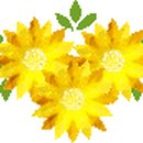 광산구-007 이미지