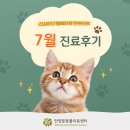 큰동물병원(출장진료전문병원) | 안양본동물의료센터 7월 진료후기, 안양24시동물병원