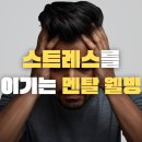 웰빙김치 만들기 | 반포헬스장 장 건강이 멘탈 웰빙을 결정하는 이유 3가지