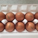 송일농장 이미지