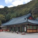제44차 정기산행 "천성산" 절과함께 낭만을... 이미지