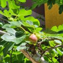 청운부동산공인중개사사무소 이미지