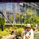 나라 차오름 이미지