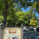 금광사 | 뉴질랜드 남섬여행 Arrowtown 주차 정보. Wolf Coffee Roasters 방문 후기