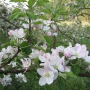 광현농장 이미지