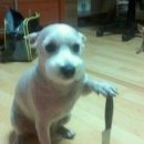 6-318 TS | [드론 1종 관심 있니?] 묻지도 따지지도 말고 드루와(필기 후기)