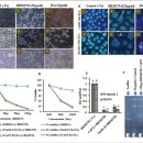 조선대학교병원 이미지