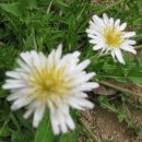 구덕초등학교 이미지