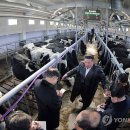 삼광농장 이미지