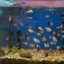 경인로61길 이미지