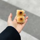 [인천 신포시장 맛집] 신포닭강정, 온센, 신포과자점, 머치스커피 후기❤️