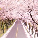 썬밸리해수사우나 이미지