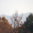 계룡만물