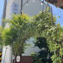 둥지백반 | 김천 연화지 백반맛집 '둥지톳밥' 톳밥정식 내돈내산 솔직후기