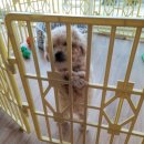 애니온동물병원 이미지