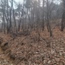 행정사사무소 휴림 이미지