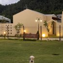 도도독A 이미지