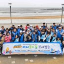 31 이미지