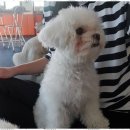 데이두케어 이미지